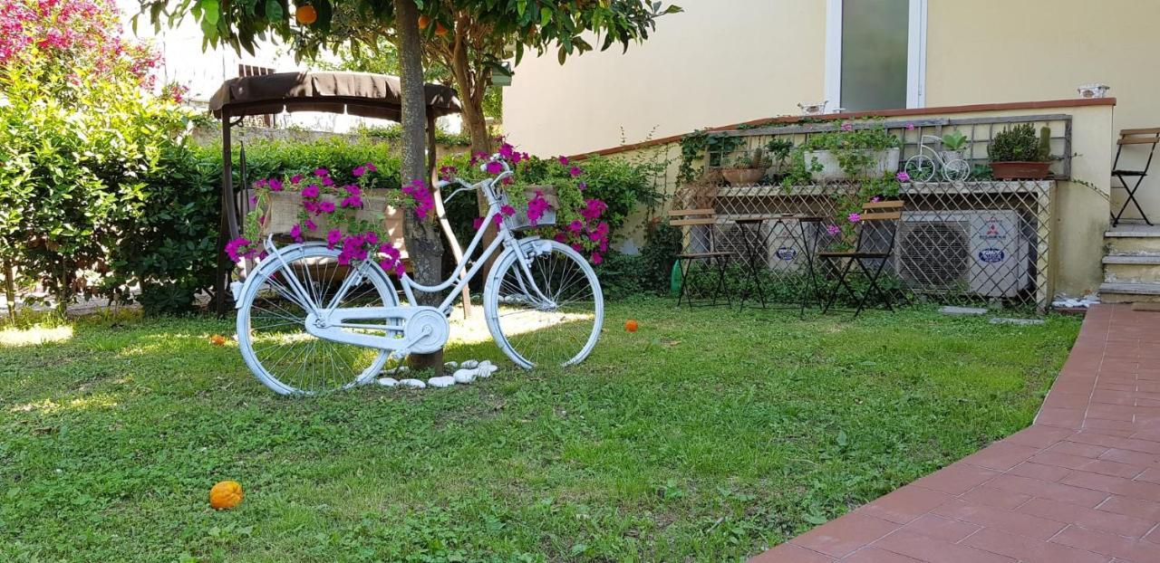 Villa Noemi Bed&Breakfast ปิซา ภายนอก รูปภาพ